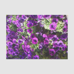 Paarse petunia Vloerweefsel Tissuepapier