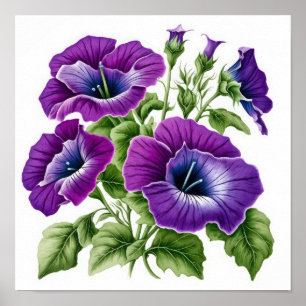 Paarse Petunias Bloemen Art Print Poster