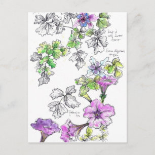 Paarse Petunias Pen en Ink Flower Sketch Briefkaart