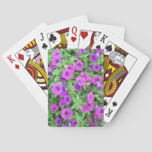 Paarse petunias-speelkaarten speelkaarten