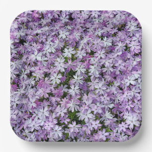 Paarse Phlox Flowers Papieren Bordje