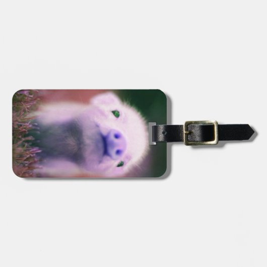 Paarse Pigsy Bagagelabel (Voorkant horizontaal)