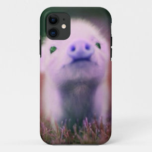 Paarse Pigsy iPhone 11 Hoesje