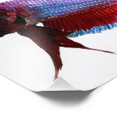 Paarse Plakat Betta Fish Foto Afdruk (Hoek)