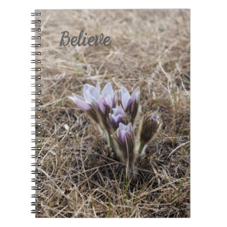 Paarse Prairie Crocussen Spiraal Foto Notitieboek