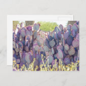 Paarse Prickly Pears | BRIEFKAART (Voorkant / Achterkant)