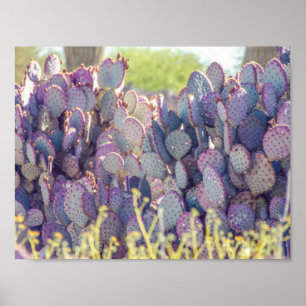 Paarse Prickly Pears Poster