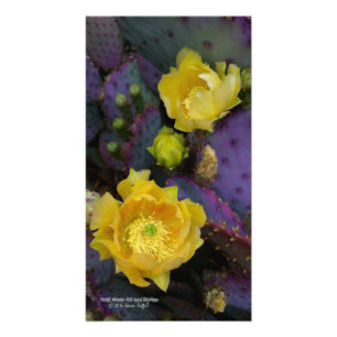 Paarse prikmoes, geelbloemen foto afdruk