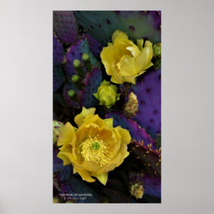 Paarse prikmoes, geelbloemen poster