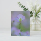 Paarse primrose briefkaart (Staand voorkant)