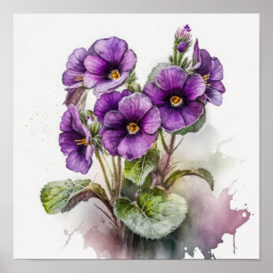 Paarse Primrose Flowers Art Print Poster