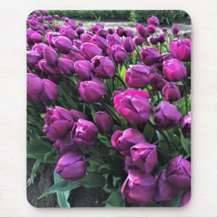 Paarse Prins Tulips Muismat