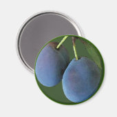 Paarse pruimen Waterverf - magneet (Voorkant / Achterkant)