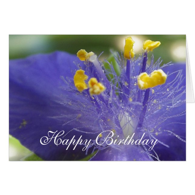 Paarse Queen-A (Voorkant Horizontaal)