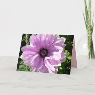 Paarse Rannunculus Lente Bloem bloemkaart Kaart