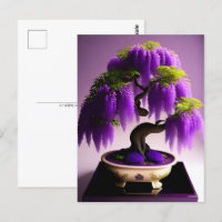 Paarse Regen Wisteria Bonsai, Postcrossing