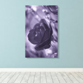 Paarse Roos verpakte canvas print (Insitu (Houten vloer))