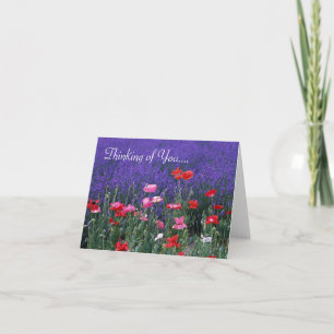 Paarse/roze bloemen denken aan uw Wenskaart Kaart