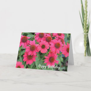 Paarse roze Coneflowers Verjaardag Kaart