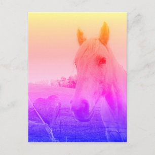 Paarse roze paarden en hart briefkaart