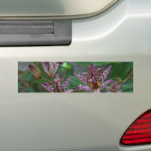 Paarse roze, witte, gestreept orchidee als bloem bumpersticker (Op auto)