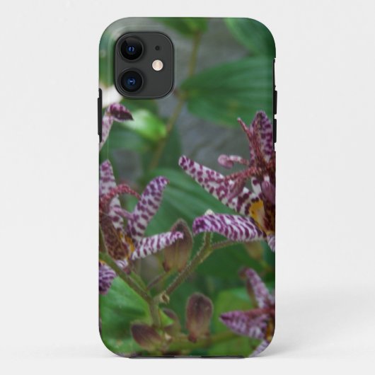 Paarse roze, witte, gestreept orchidee als bloem Case-Mate iPhone case (Achterkant)