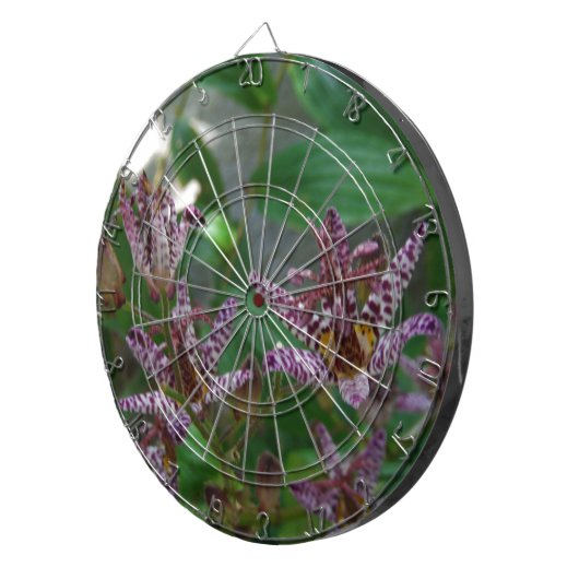 Paarse roze, witte, gestreept orchidee als bloem dartbord (Voorkant Rechts)