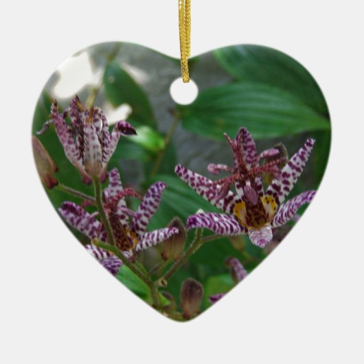 Paarse roze, witte, gestreept orchidee als bloem keramisch ornament (Voorkant)