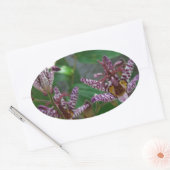 Paarse roze, witte, gestreept orchidee als bloem ovale sticker (Envelop)
