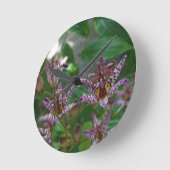 Paarse roze, witte, gestreept orchidee als bloem ronde klok (Hoek)