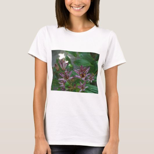 Paarse roze, witte, gestreept orchidee als bloem t-shirt (Voorkant)