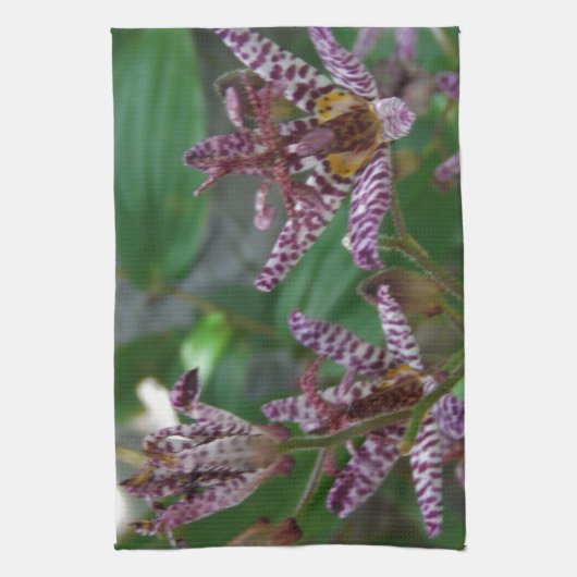 Paarse roze, witte, gestreept orchidee als bloem theedoek (Verticaal)