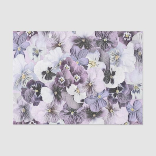 Paarse roze witte pansieën  tekening tissuepapier (Voorkant)