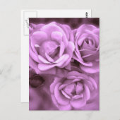 Paarse  Rozen Briefkaart (Voorkant / Achterkant)