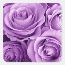  Paarse Rozen Hart Sticker
