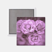 Paarse  Rozen Magneet (Voorkant / Achterkant)