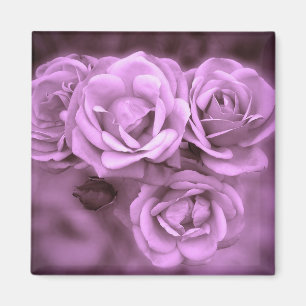 Paarse Rozen Magneet