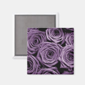 Paarse Rozen Magneet (Voorkant / Achterkant)