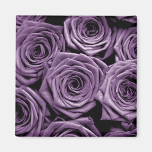 Paarse Rozen Magneet (Voorkant)