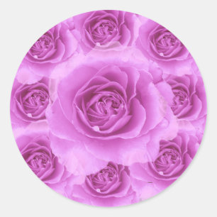 Paarse Rozen Sticker