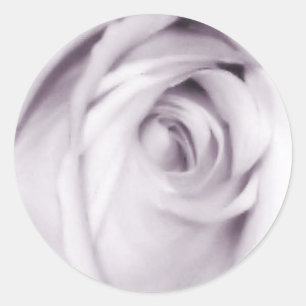 paarse rozen sticker