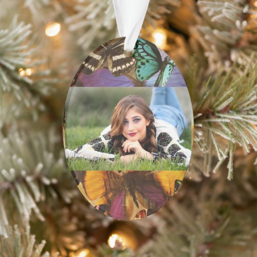 paarse rubberen oranje vlinder met kleurrijke trop ornament (Boom)