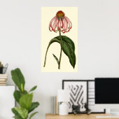 Paarse Rubibeckia Bloem Poster (Thuiskantoor)