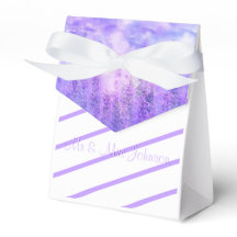 Paarse salie & een vlinder