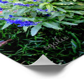 Paarse Salvia Flowers Value Poster Paper (gloss) (Hoek)