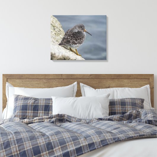 Paarse Sandpiper Canvas Afdruk (Insitu (Slaapkamer))