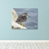 Paarse Sandpiper Canvas Afdruk (Insitu (Houten vloer))