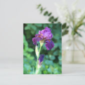Paarse schoonheid briefkaart (Staand voorkant)