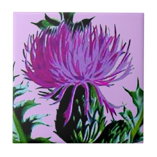 Paarse Schotse tuin Thistle Tegeltje (Voorkant)