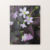 Paarse Shamrock Blooms foto Legpuzzel (Verticaal)